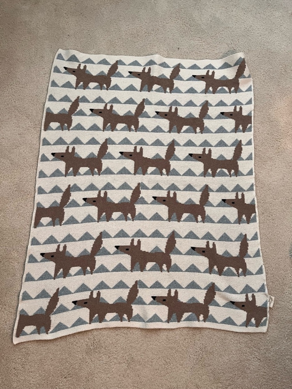 In2Green Blue Cream Fox Allover Baby Blanket